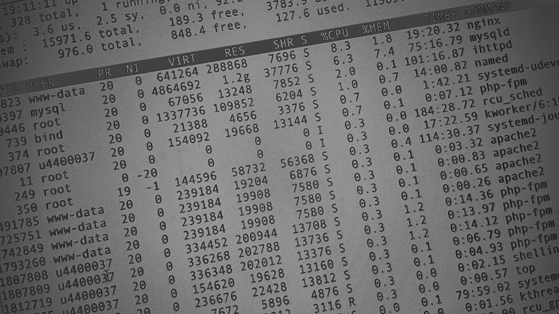 Настройка сервера в Гусеве